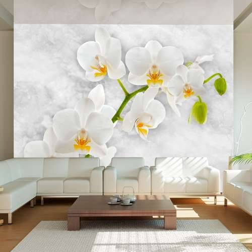 Foto tapeta - Lyrical orchid - White 200x140