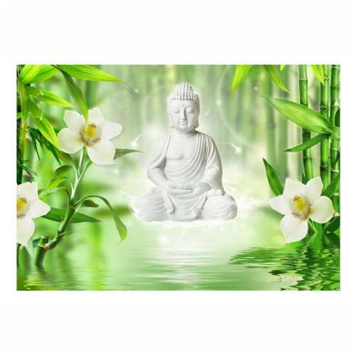 Foto tapeta - Buddha and nature 400x280 Cijena
