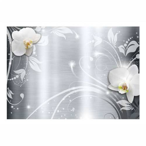 Foto tapeta - Orchids on steel 350x245 Cijena