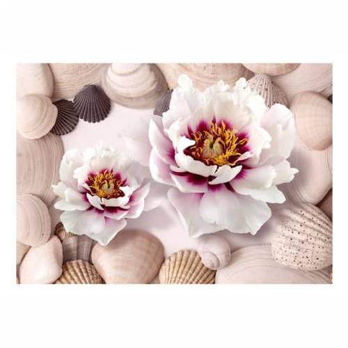 Foto tapeta - Flowers and Shells 400x280 Cijena