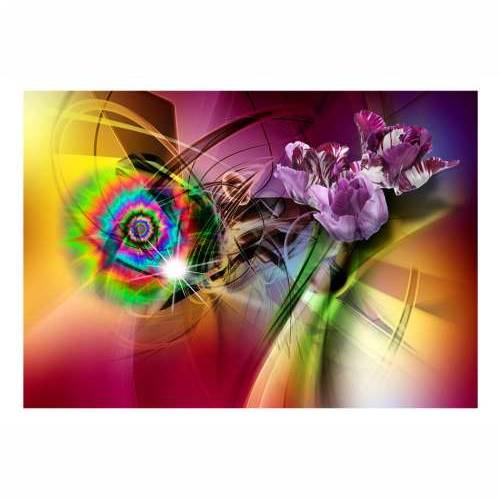 Foto tapeta - Magic Light of Colors 150x105 Cijena