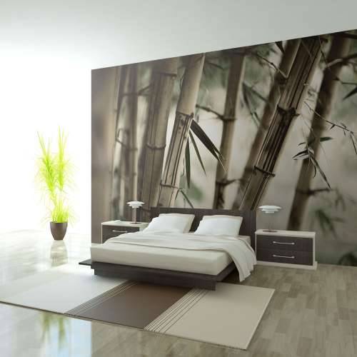 Foto tapeta - Fog and bamboo forest 450x270 Cijena