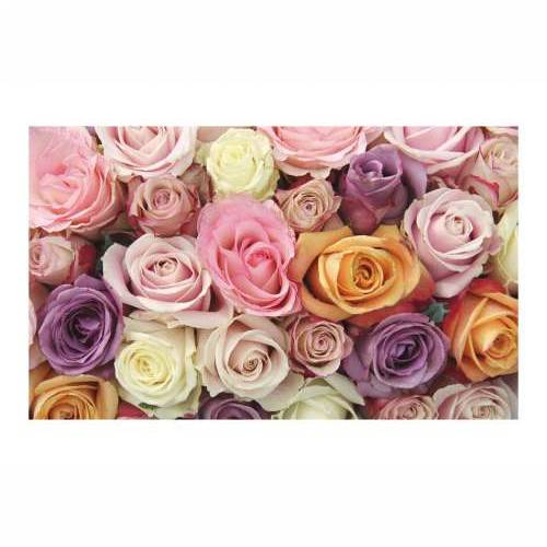 Foto tapeta - Pastel roses 450x270 Cijena