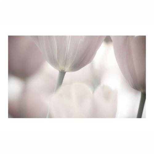 Foto tapeta - Tulips fine art - black and white 450x270 Cijena
