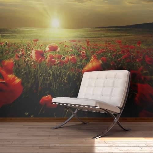Foto tapeta - Morning on the poppy meadow 450x270 Cijena