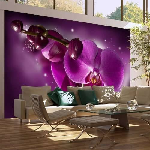 Foto tapeta - Fairy tale and orchid 450x270