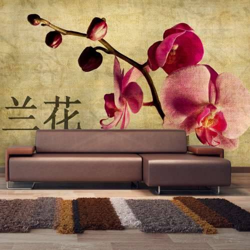 Foto tapeta - Japanese orchid 450x270 Cijena