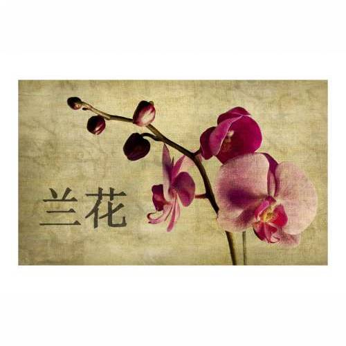 Foto tapeta - Japanese orchid 450x270 Cijena