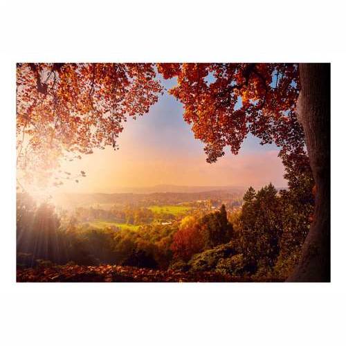 Foto tapeta - Autumn Delight 250x175 Cijena