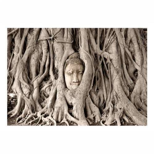 Foto tapeta - Buddha’s Tree 100x70 Cijena