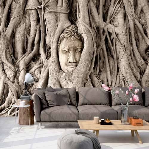 Foto tapeta - Buddha’s Tree 150x105 Cijena