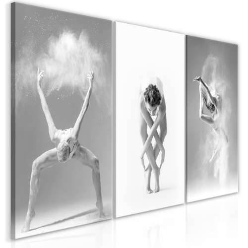 Slika - Ballet (Collection) 60x30 Cijena