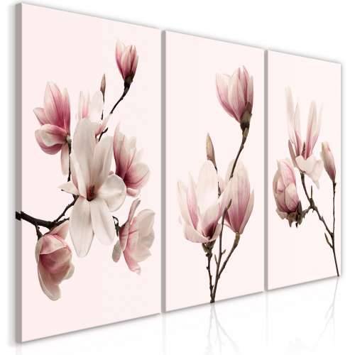 Slika - Spring Magnolias (3 Parts) 120x60 Cijena