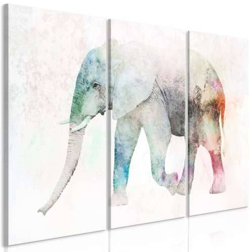 Slika - Painted Elephant (3 Parts) 120x80 Cijena