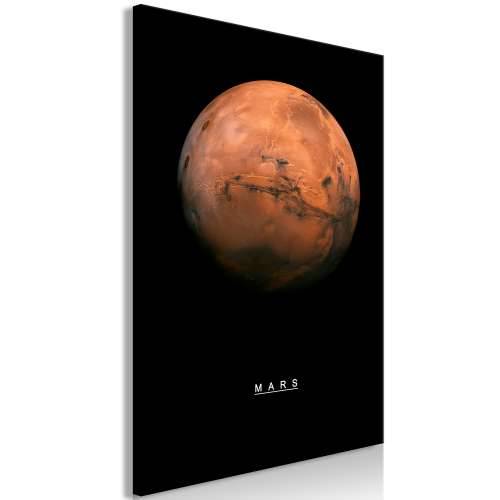 Slika - Mars (1 Part) Vertical 40x60 Cijena