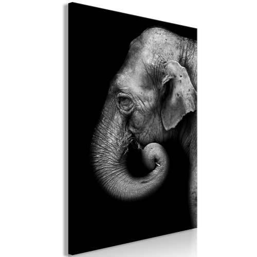 Slika - Portrait of Elephant (1 Part) Vertical 40x60 Cijena