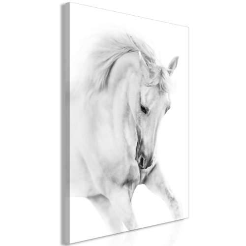 Slika - White Horse (1 Part) Vertical 80x120 Cijena