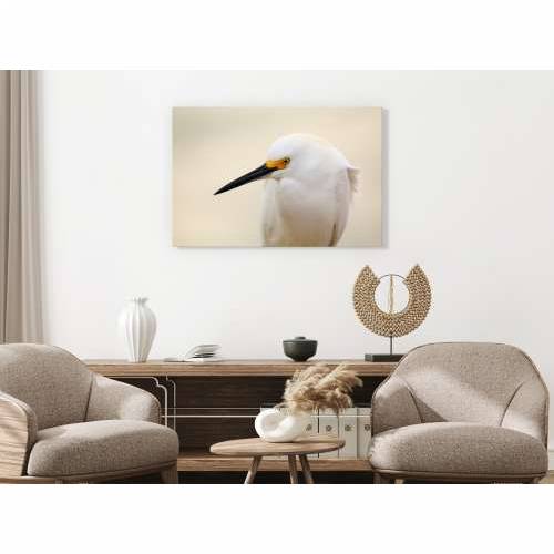 Slika - Snowy Egret (1 Part) Wide 90x60 Cijena