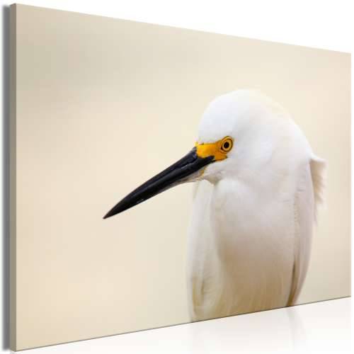 Slika - Snowy Egret (1 Part) Wide 120x80 Cijena
