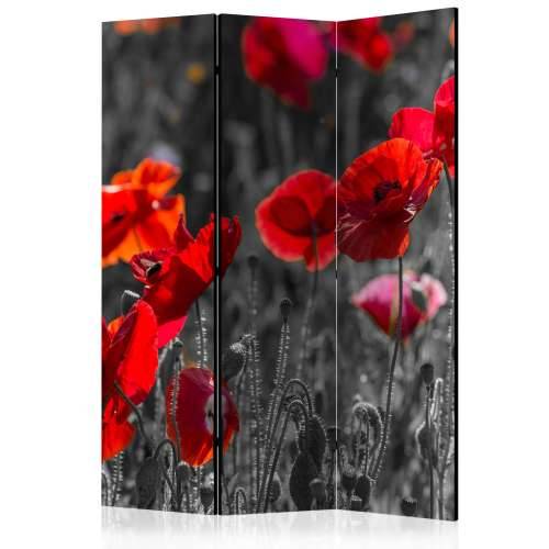 Paravan u 3 dijela - Red Poppies [Room Dividers] 135x172 Cijena