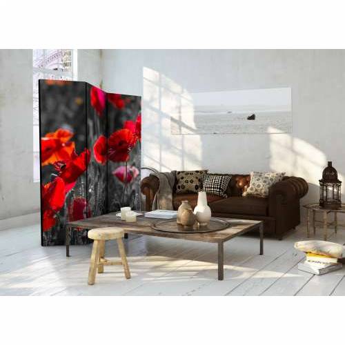 Paravan u 3 dijela - Red Poppies [Room Dividers] 135x172 Cijena