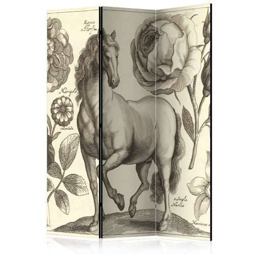 Paravan u 3 dijela - Horse [Room Dividers] 135x172 Cijena