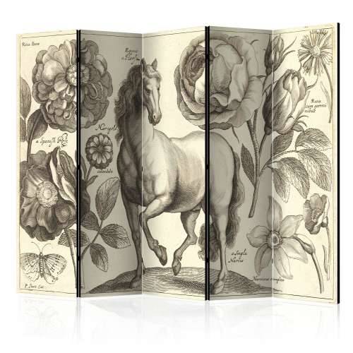 Paravan u 5 dijelova - Horse II [Room Dividers] 225x172 Cijena
