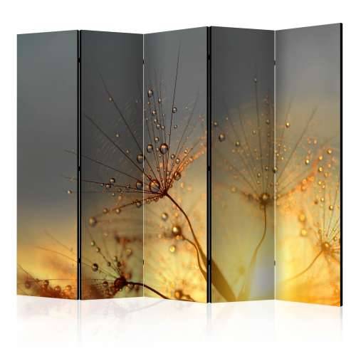Paravan u 5 dijelova - Summer Solstice II [Room Dividers] 225x172 Cijena