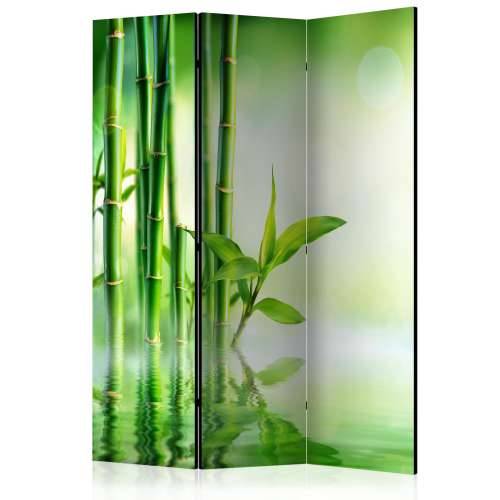 Paravan u 3 dijela - Green Bamboo [Room Dividers] 135x172 Cijena