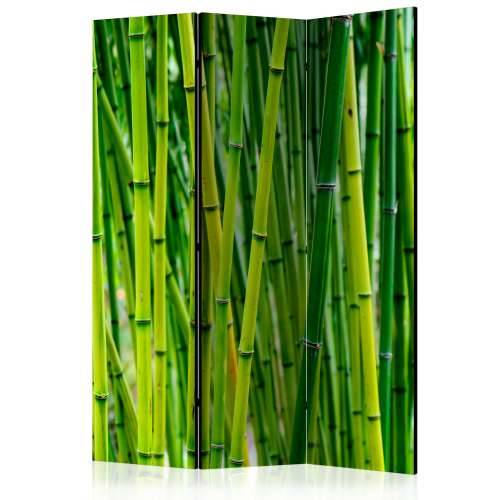 Paravan u 3 dijela - Bamboo Forest [Room Dividers] 135x172 Cijena