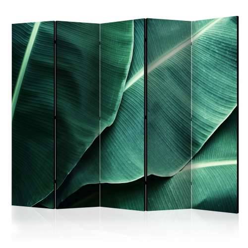 Paravan u 5 dijelova - Banana Leaf II [Room Dividers] 225x172 Cijena