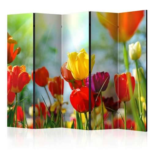 Paravan u 5 dijelova - Spring Tulips II [Room Dividers] 225x172 Cijena