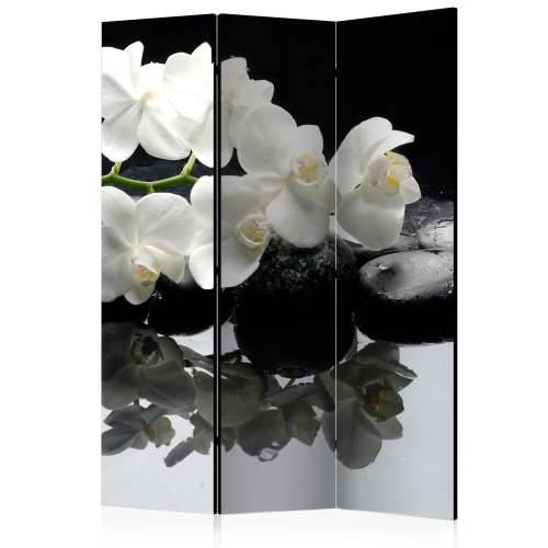 Paravan u 3 dijela - Spa, Stones and Orchid [Room Dividers] 135x172 Cijena