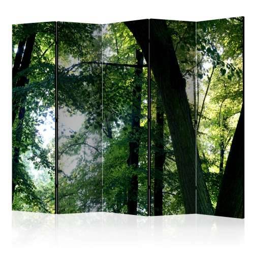 Paravan u 5 dijelova - Spring in the Park II [Room Dividers] 225x172 Cijena