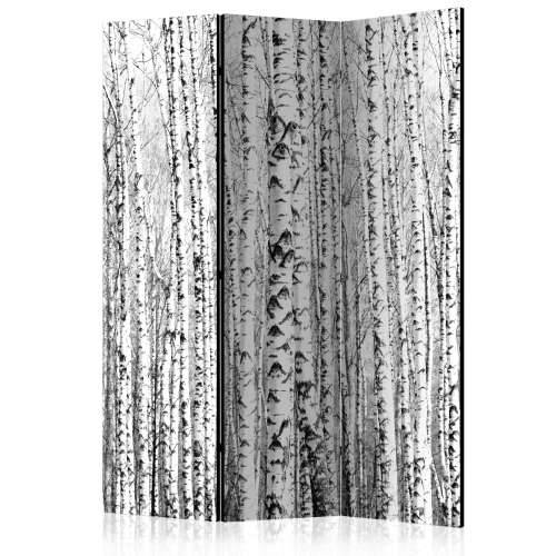 Paravan u 3 dijela - Birch forest [Room Dividers] 135x172 Cijena