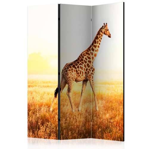 Paravan u 3 dijela - giraffe - walk [Room Dividers] 135x172 Cijena