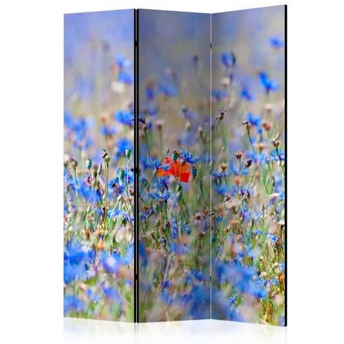 Paravan u 3 dijela - A sky-colored meadow - cornflowers [Room Dividers] 135x172 Cijena