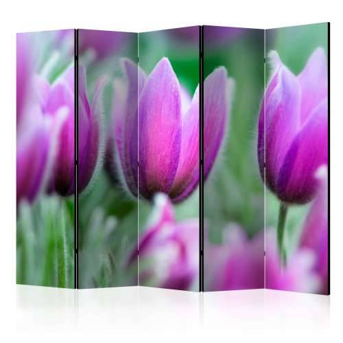 Paravan u 5 dijelova - Purple spring tulips II [Room Dividers] 225x172 Cijena