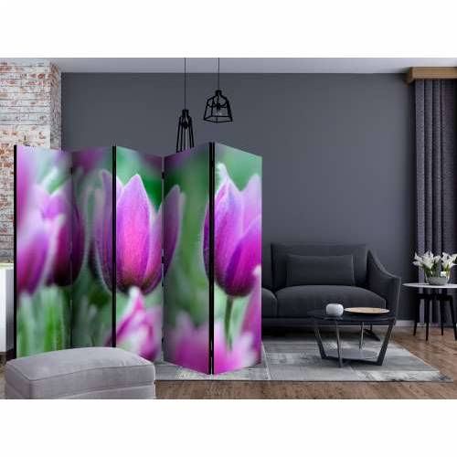 Paravan u 5 dijelova - Purple spring tulips II [Room Dividers] 225x172 Cijena