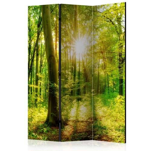 Paravan u 3 dijela - Forest Rays [Room Dividers] 135x172 Cijena