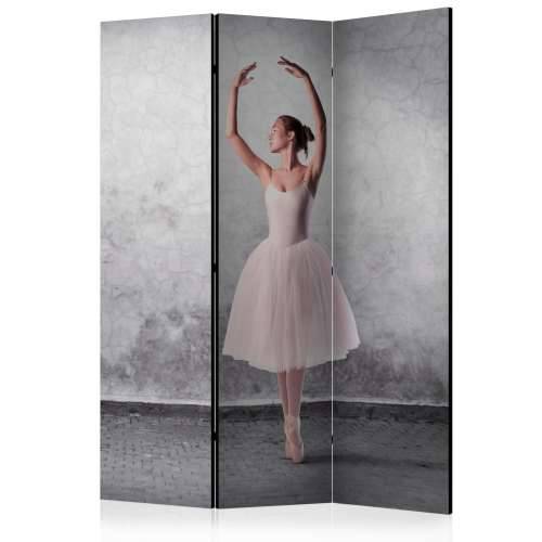 Paravan u 3 dijela - Ballerina in Degas paintings style [Room Dividers] 135x172 Cijena