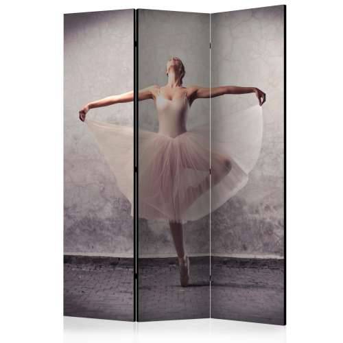 Paravan u 3 dijela - Classical dance - poetry without words [Room Dividers] 135x172 Cijena