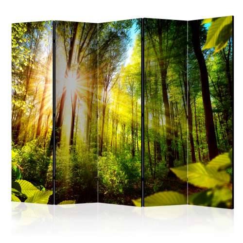 Paravan u 5 dijelova - Forest Hideout II [Room Dividers] 225x172 Cijena