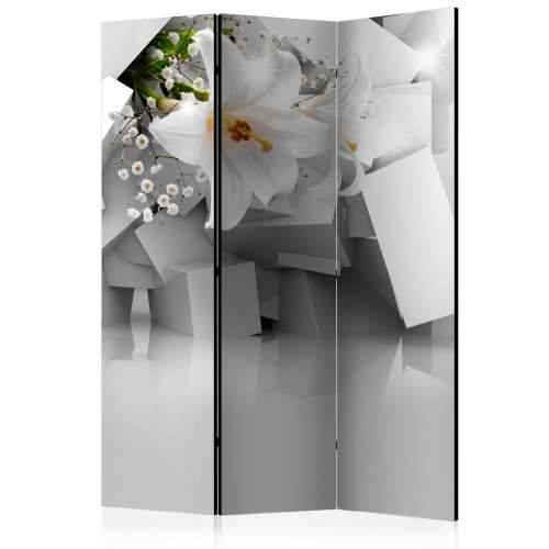 Paravan u 3 dijela - Lost in Chaos [Room Dividers] 135x172 Cijena