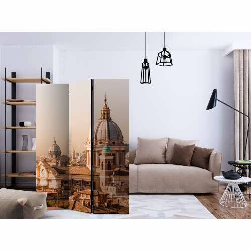 Paravan u 3 dijela - Rome - bird’s eye view [Room Dividers] 135x172 Cijena