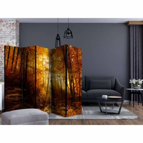 Paravan u 5 dijelova - Autumn Illumination II [Room Dividers] 225x172 Cijena