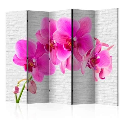 Paravan u 5 dijelova - Pink excitation II [Room Dividers] 225x172 Cijena