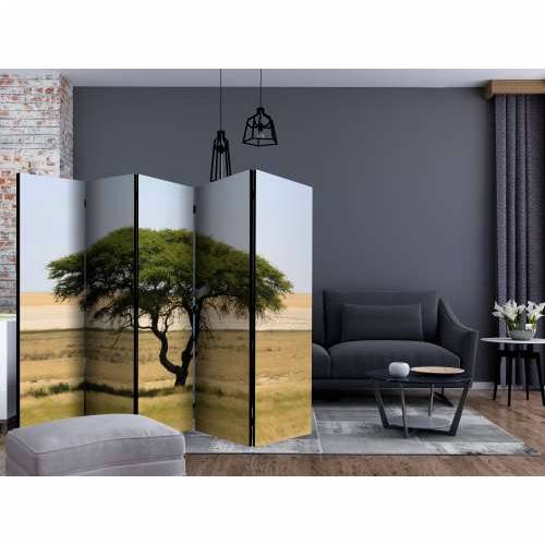 Paravan u 5 dijelova - Etosha National Park, Namibia II [Room Dividers] 225x172 Cijena