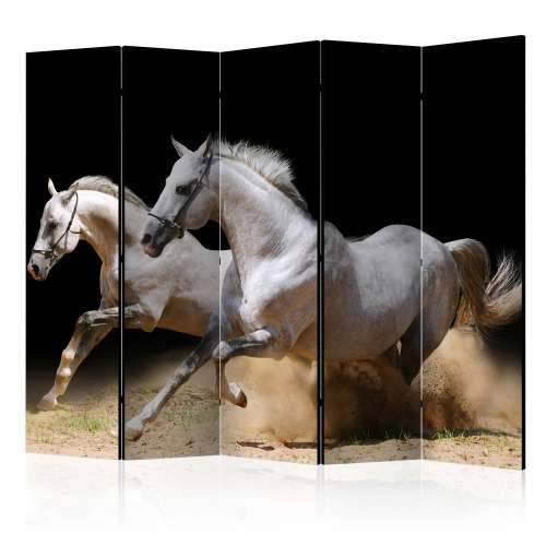 Paravan u 5 dijelova - Galloping horses on the sand II [Room Dividers] 225x172 Cijena