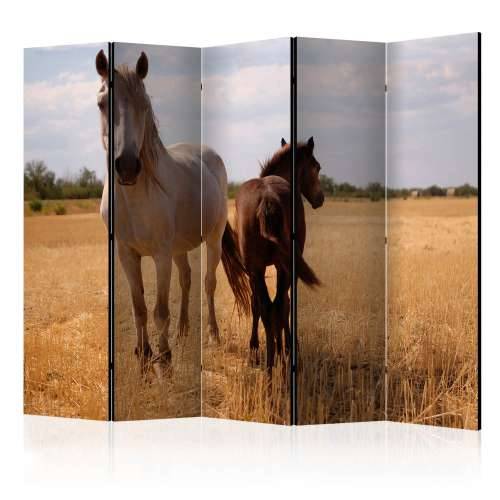 Paravan u 5 dijelova - Horse and foal II [Room Dividers] 225x172 Cijena